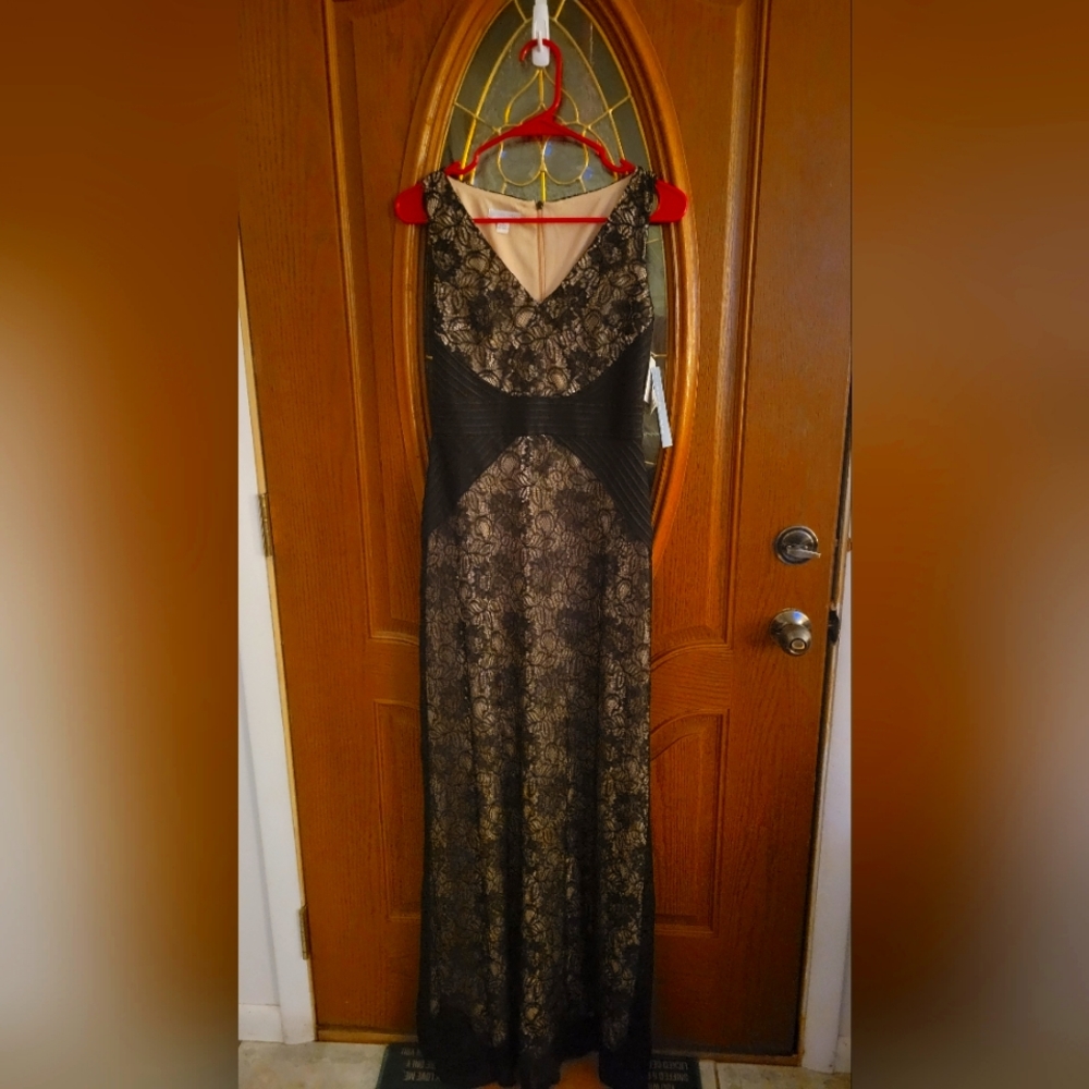 BNWT London Times Floor Length Lace Gown